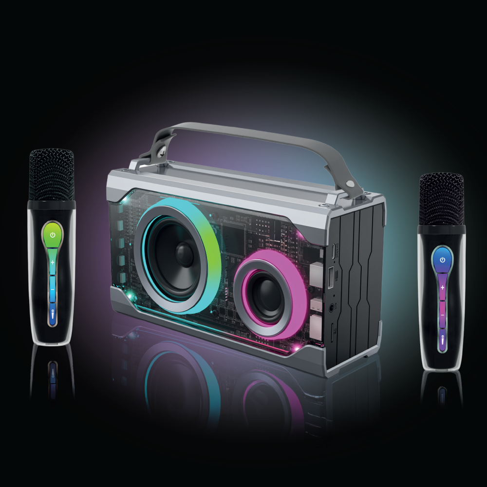 Portable Karaoke Stereo