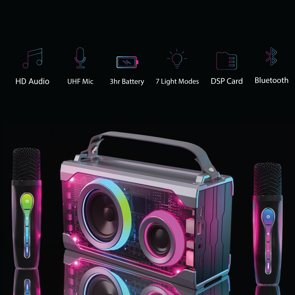 Portable Karaoke Stereo